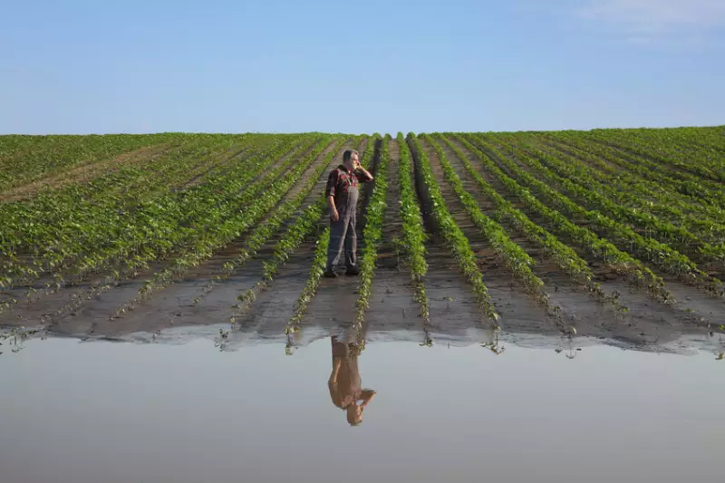 預防農損就靠科技小幫手－農作物災害預警平台