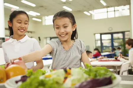 日本飲食教育與校園午餐