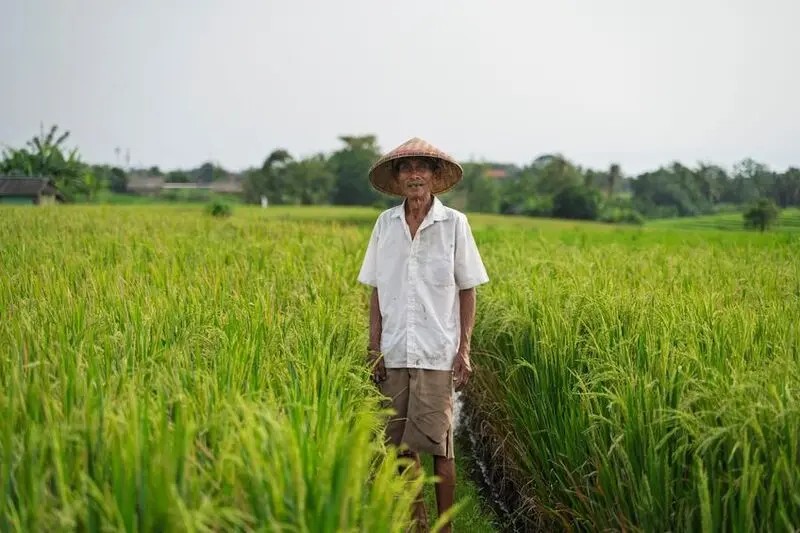 大缺工時代來臨 臺灣農業危機、挑戰與治理新方向